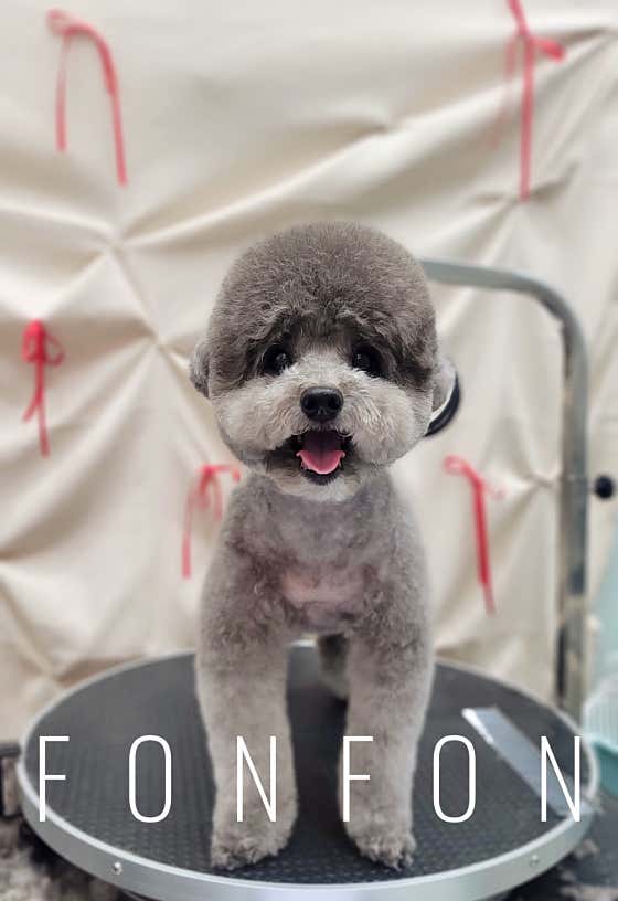 퐁댕퐁댕 · 네이버 지도·플레이스 3