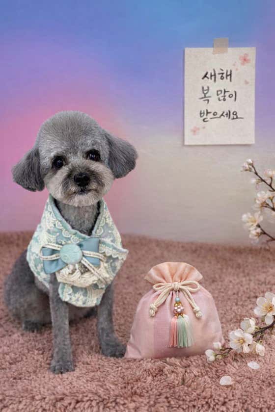 멍블랑 · 네이버 지도·플레이스 7