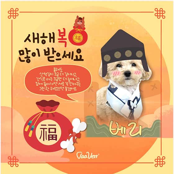 바베르애견유치원, 호텔 · 네이버 지도·플레이스 6