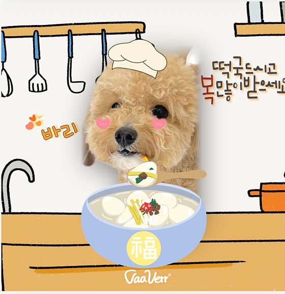 바베르애견유치원, 호텔 · 네이버 지도·플레이스 7