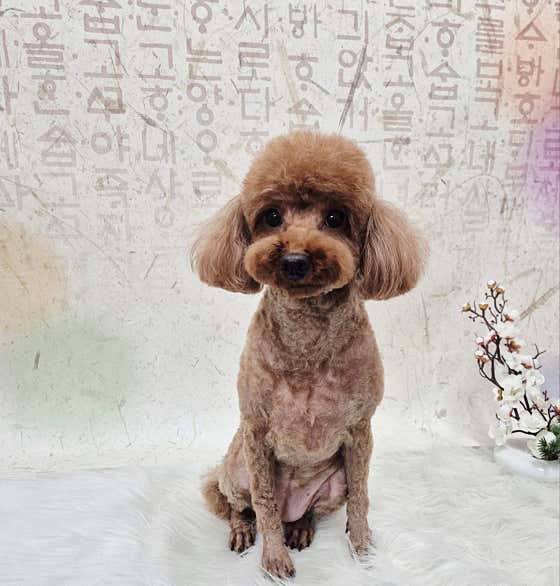 알콩달콩 · 네이버 지도·플레이스 10