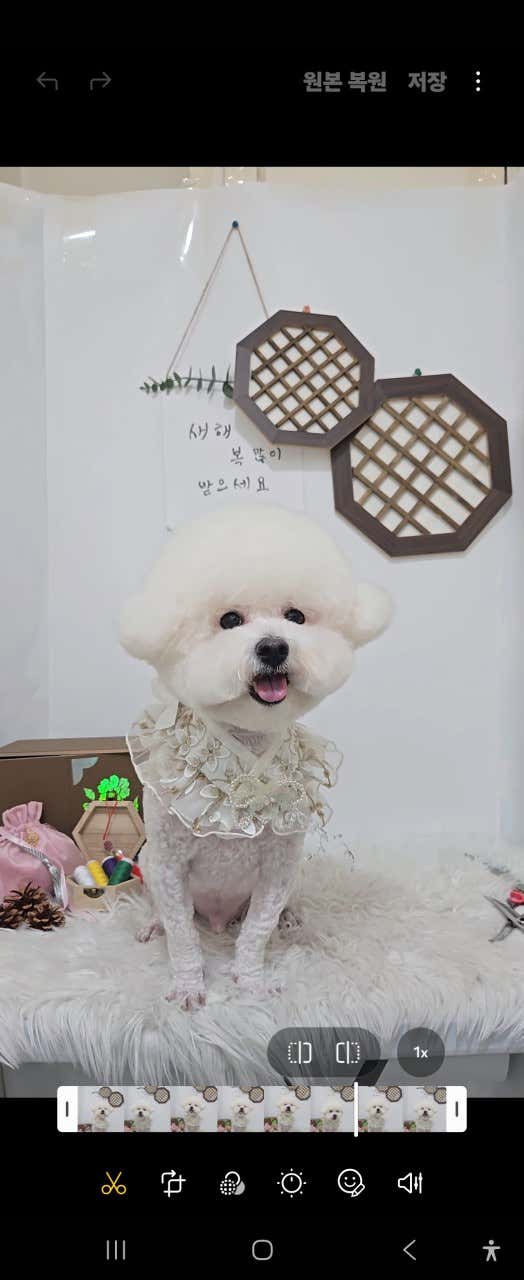멍블리펫뷰티