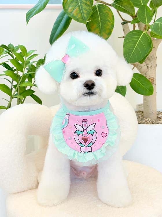 베이비숑 · 네이버 지도·플레이스 3
