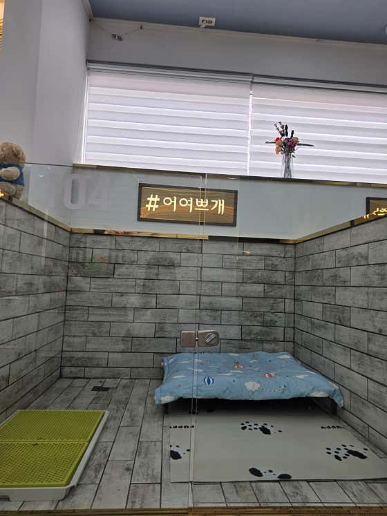 하루펫 · 네이버 지도·플레이스 7