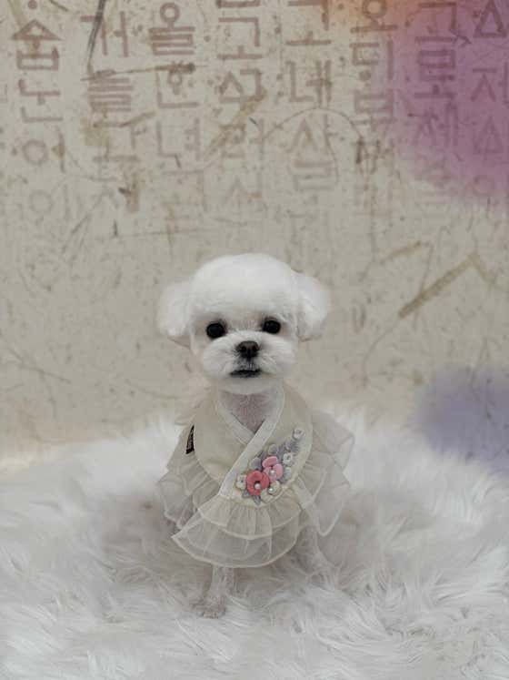 봉글몽글 · 네이버 지도·플레이스 5