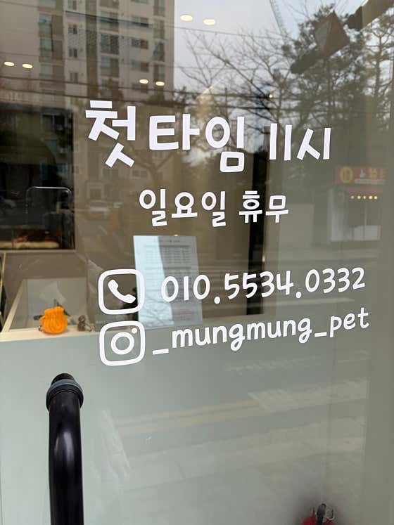 멍멍이미용실