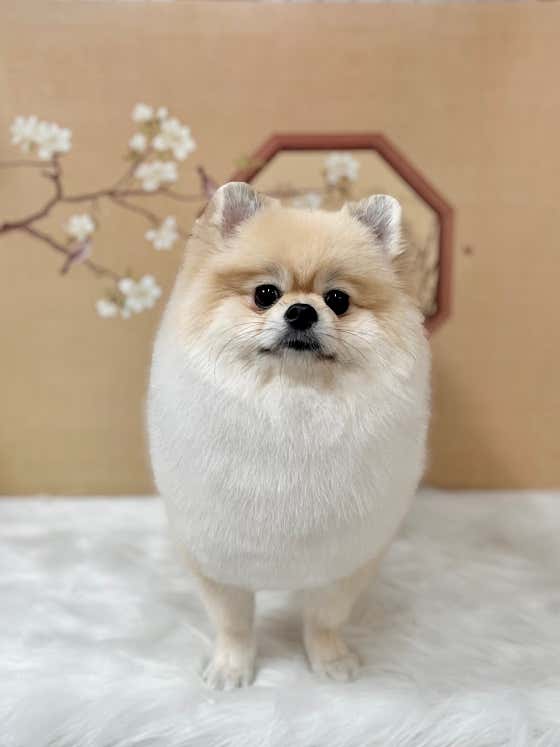 까끄숑 · 네이버 지도·플레이스 6