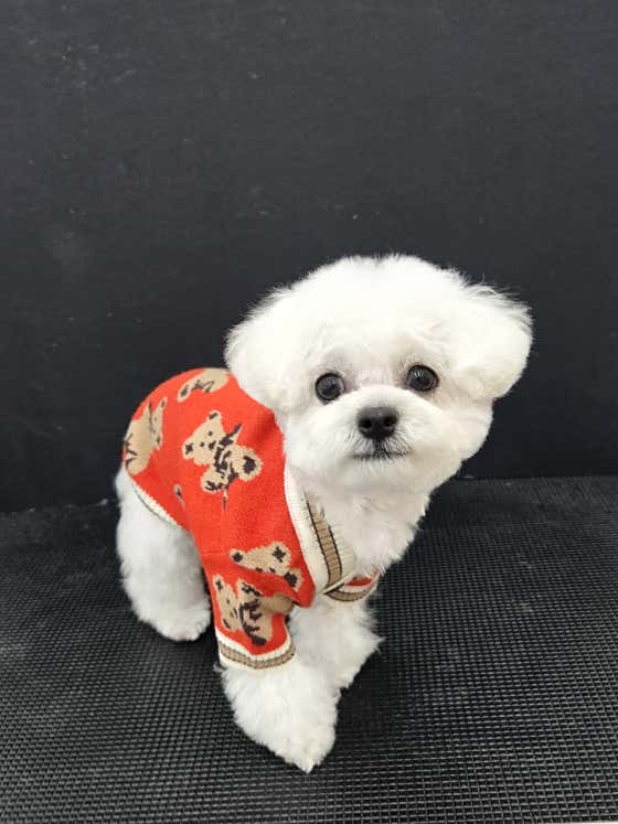 만득이네