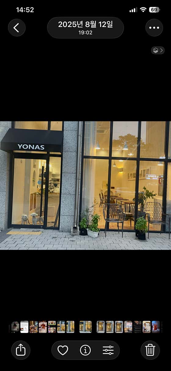 요나스