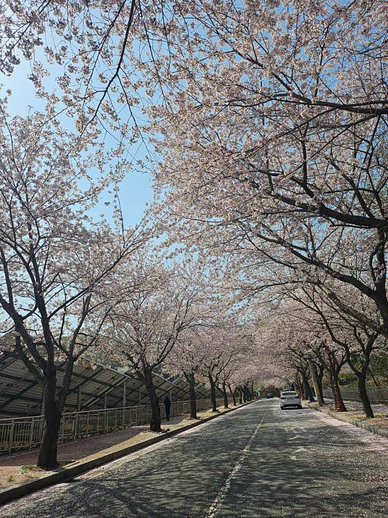 김해가야테마파크 카라반 캠핑장 대표이미지