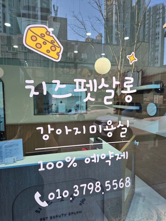 치즈펫살롱 · 네이버 지도·플레이스 2