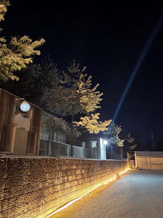 벙커독 · 네이버 지도·플레이스 2