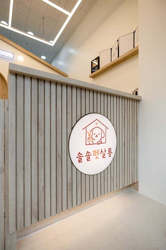 솔솔펫살롱 · 네이버 지도·플레이스 8