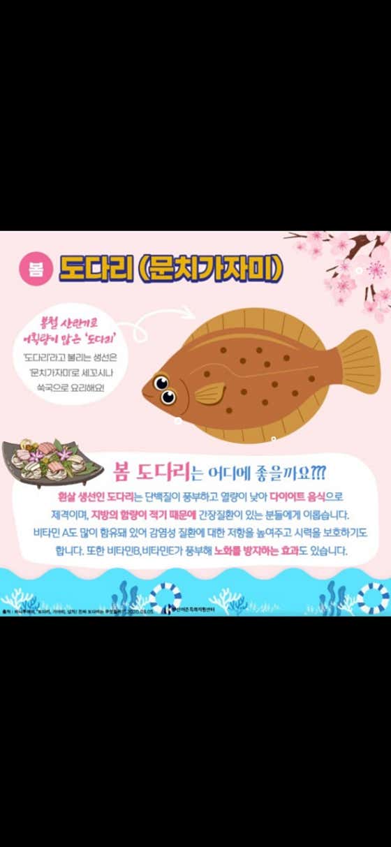 도다리 1마리 메뉴 사진(네이버)