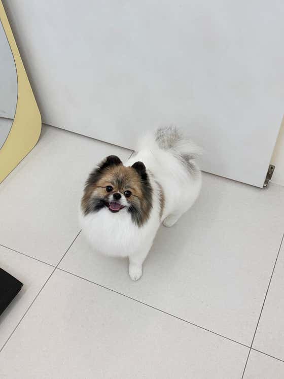 아토몽 · 네이버 지도·플레이스 9