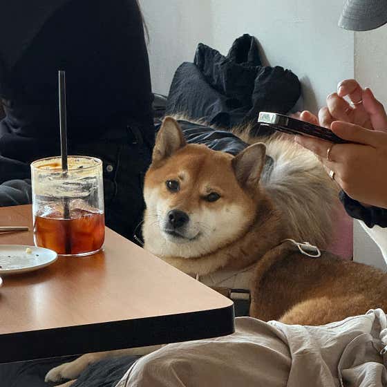 카포커피클럽 · 네이버 지도·플레이스 7
