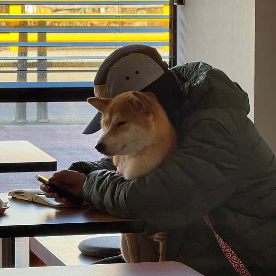카포커피클럽 · 네이버 지도·플레이스 2