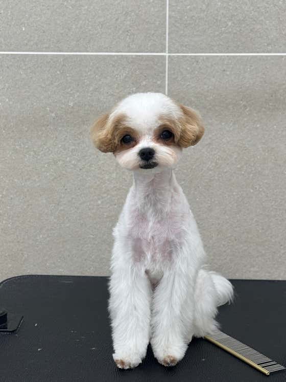 나른 · 네이버 지도·플레이스 2