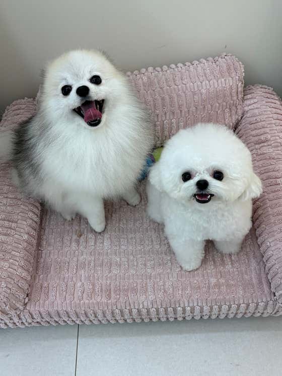 아토몽 · 네이버 지도·플레이스 10