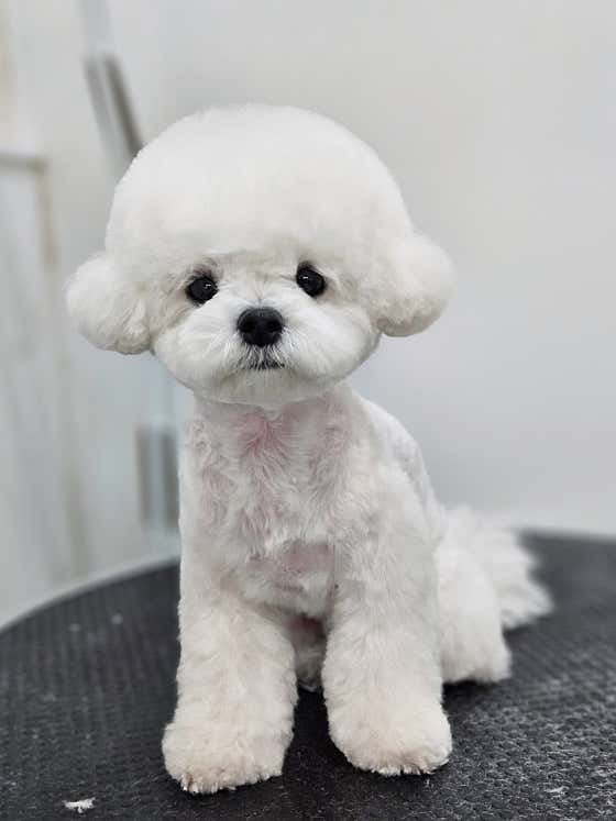 아라몽드 · 네이버 지도·플레이스 2