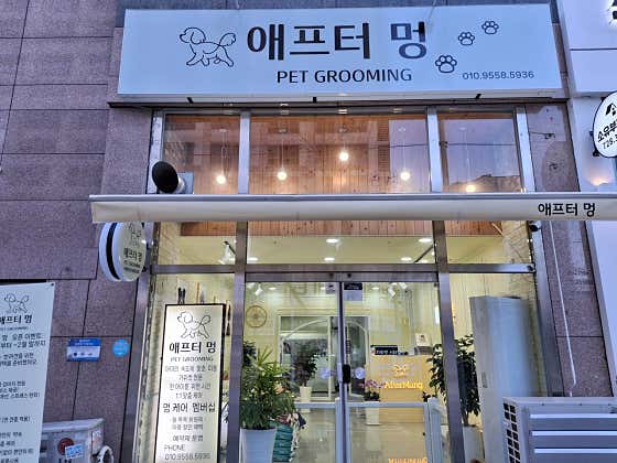 애프터멍 · 네이버 지도·플레이스 8