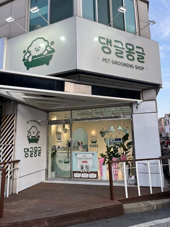 댕글몽글 · 네이버 지도·플레이스 2