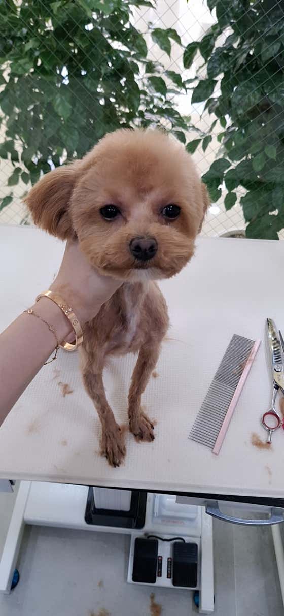 애프터멍 · 네이버 지도·플레이스 9