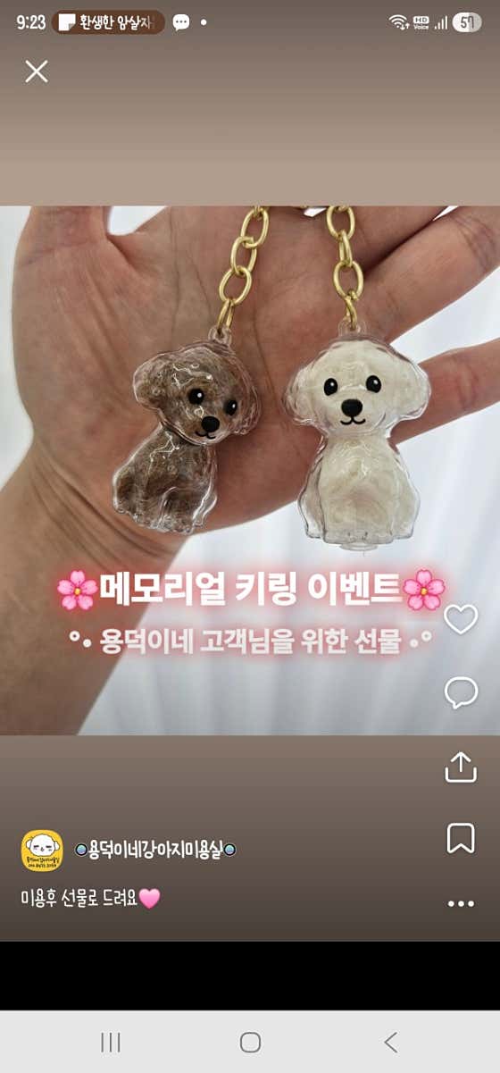 용덕이네 강아지미용실 · 네이버 지도·플레이스 2