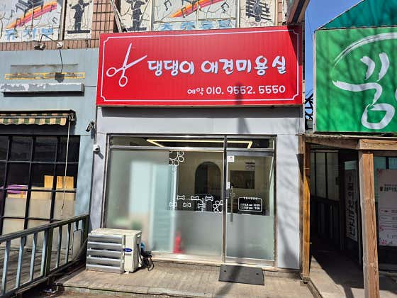 댕댕이애견미용 · 네이버 지도·플레이스 3