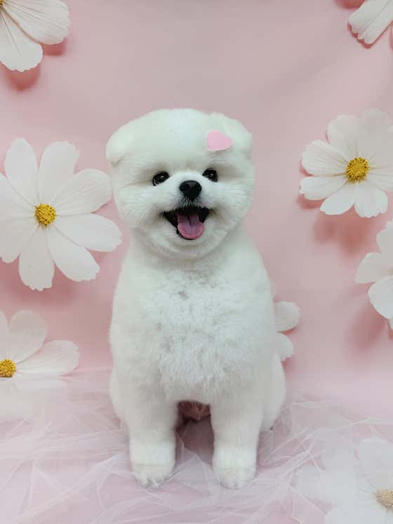 미용특공대 대표이미지