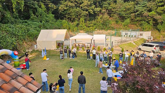 포레스트 도일 · 네이버 지도·플레이스 8