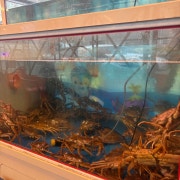 빵게 1kg 홍합탕 메뉴 사진(네이버)