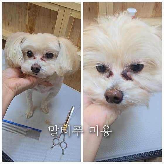 개멋짐 · 네이버 지도·플레이스 7