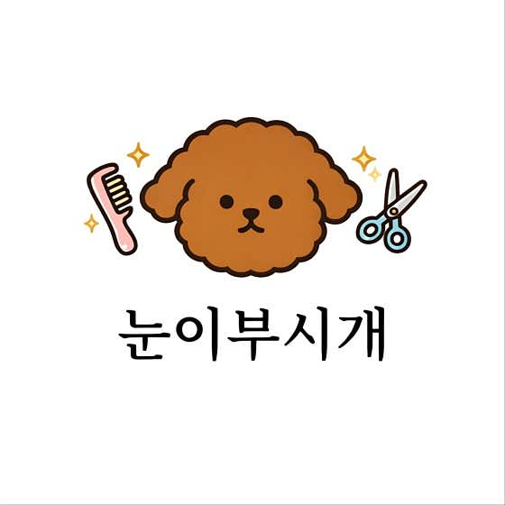 눈이부시개 대표이미지