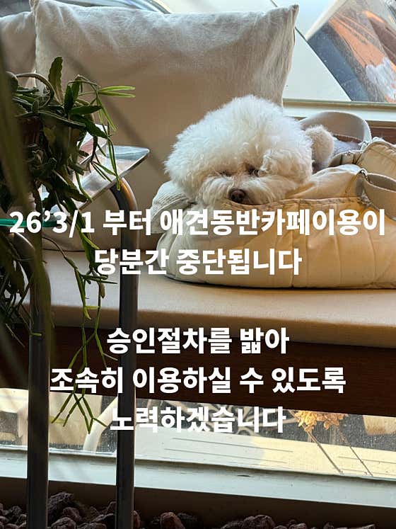 풀문