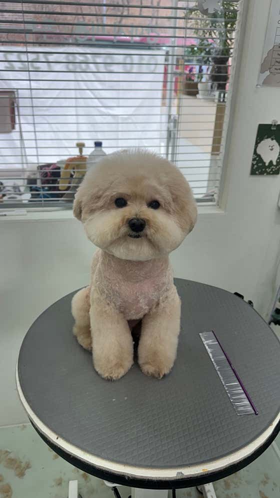 몽글댕글 · 네이버 지도·플레이스 9