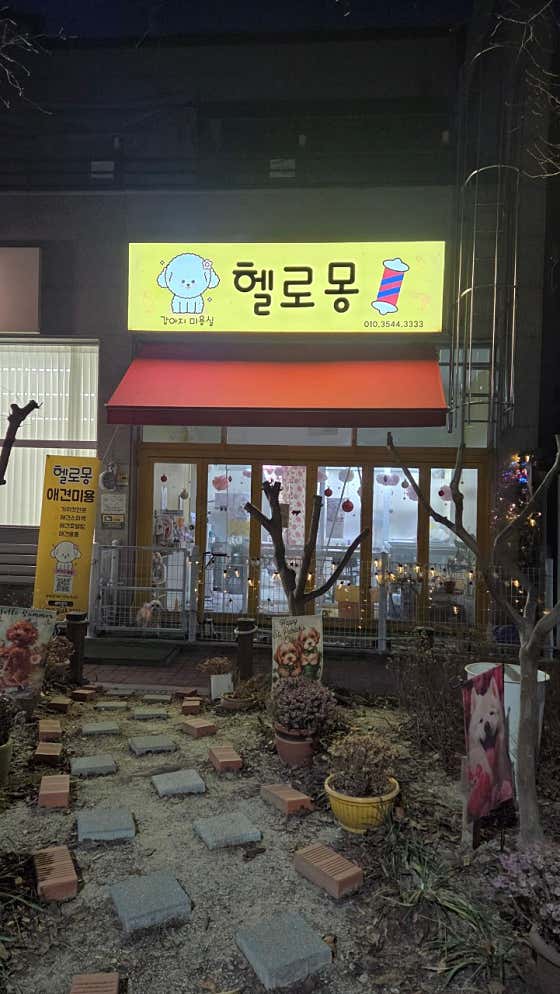 헬로몽 애견미용실 애견호텔 · 네이버 지도·플레이스 6