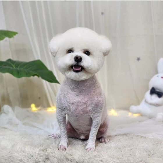 푸딩이네 · 네이버 지도·플레이스 2