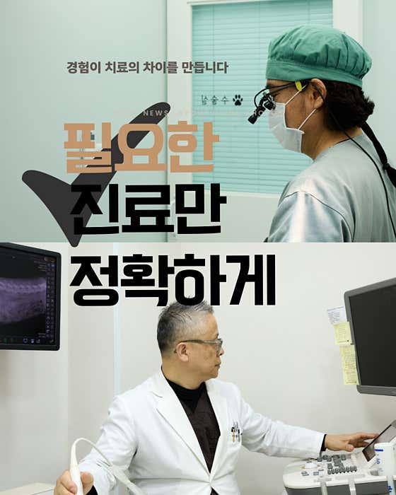 엘림동물의료센터 대표이미지