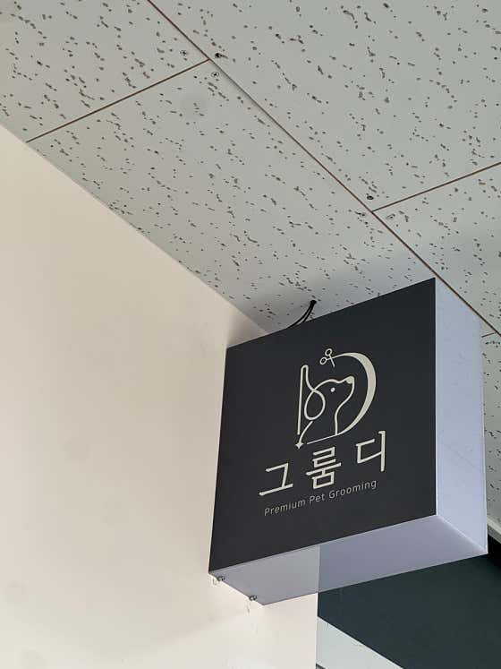 그룸디 애견미용실 · 네이버 지도·플레이스 7