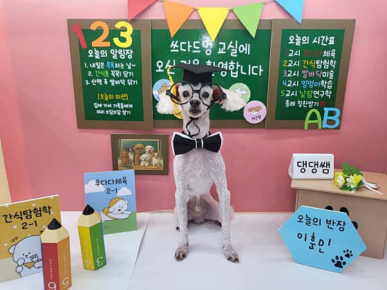 쓰다드멍
