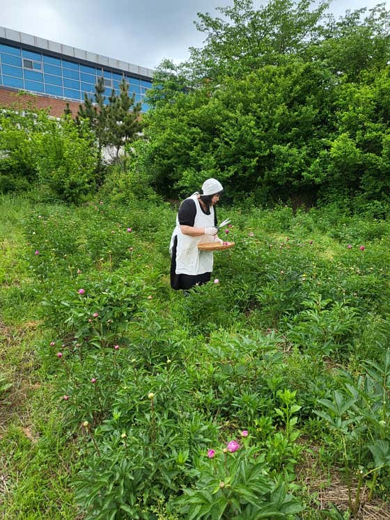김충경 맡김차림 (4인기준) 메뉴 사진(네이버)