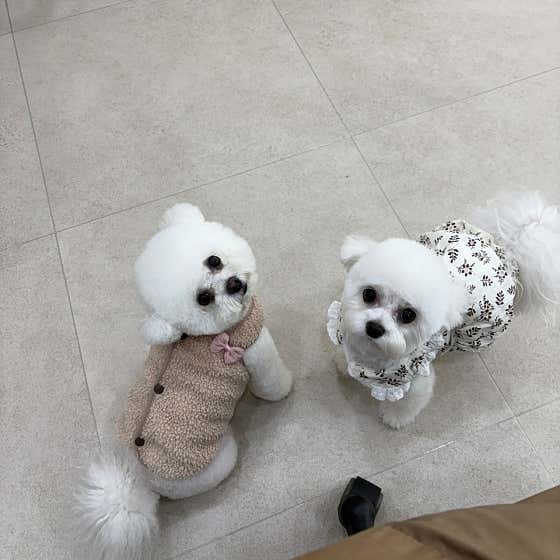 뽀도독살롱 · 네이버 지도·플레이스 7