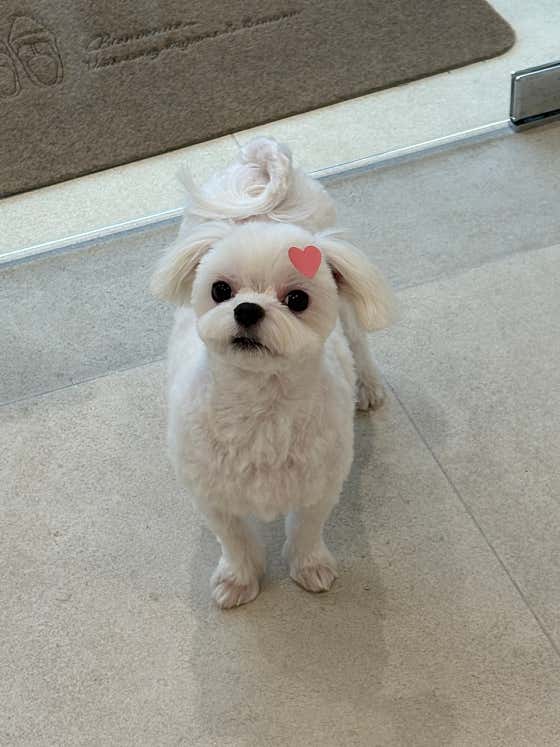 뽀도독살롱 · 네이버 지도·플레이스 6