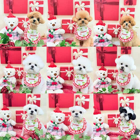 딥잉 산본점 · 네이버 지도·플레이스 3