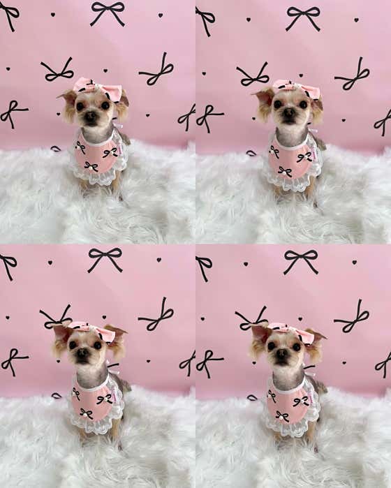 수박이네 · 네이버 지도·플레이스 5