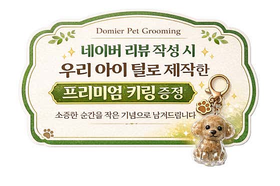 도미에르펫미용 · 네이버 지도·플레이스 3