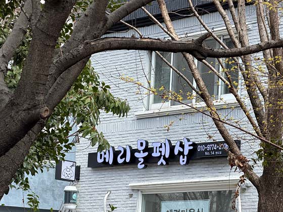 메리몰펫샵 영도점 · 네이버 지도·플레이스 6