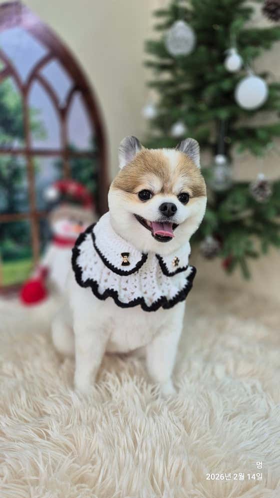 멍 · 네이버 지도·플레이스 4