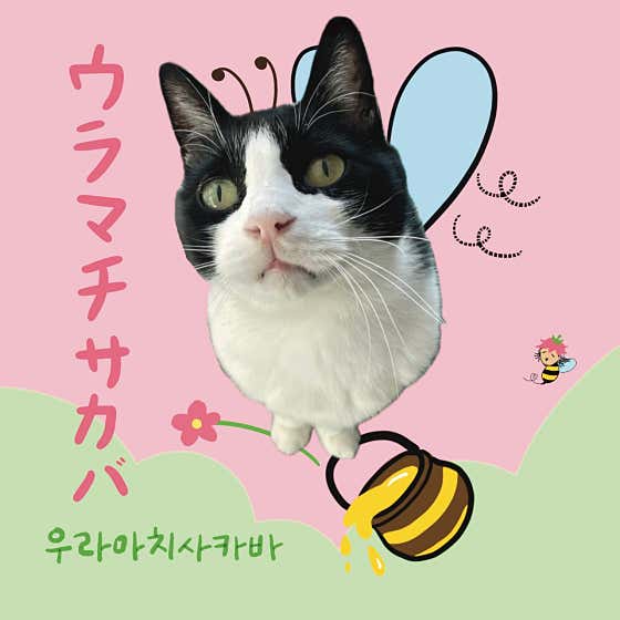 우라마치사카바 · 네이버 지도·플레이스 4